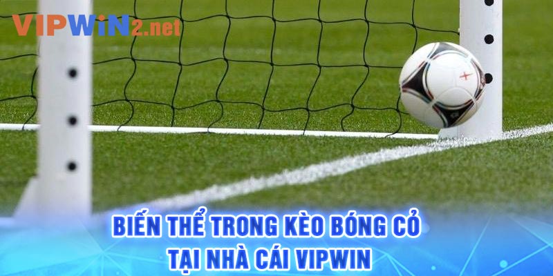 Biến thể trong kèo bóng cỏ tại nhà cái Vipwin