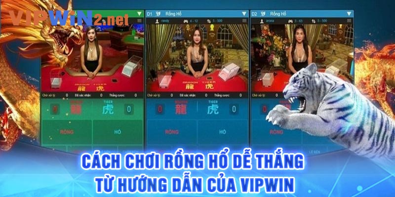 Cách chơi Rồng Hổ Dễ Thắng Từ Hướng Dẫn Của Vipwin