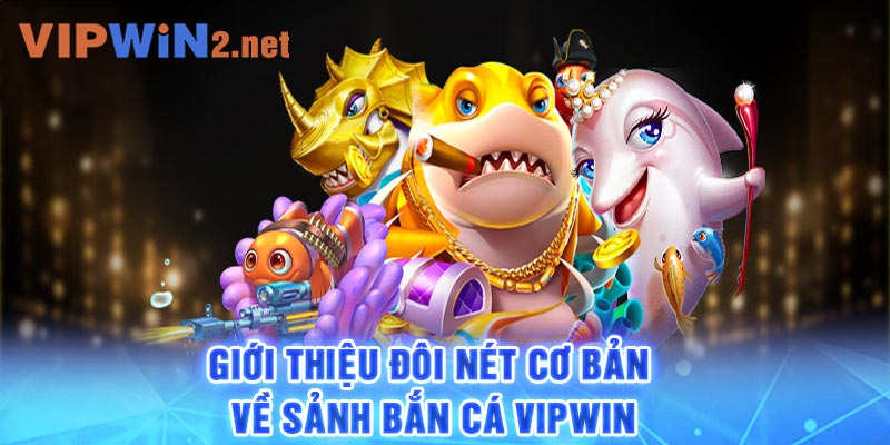 Giới thiệu đôi nét cơ bản về sảnh bắn cá Vipwin