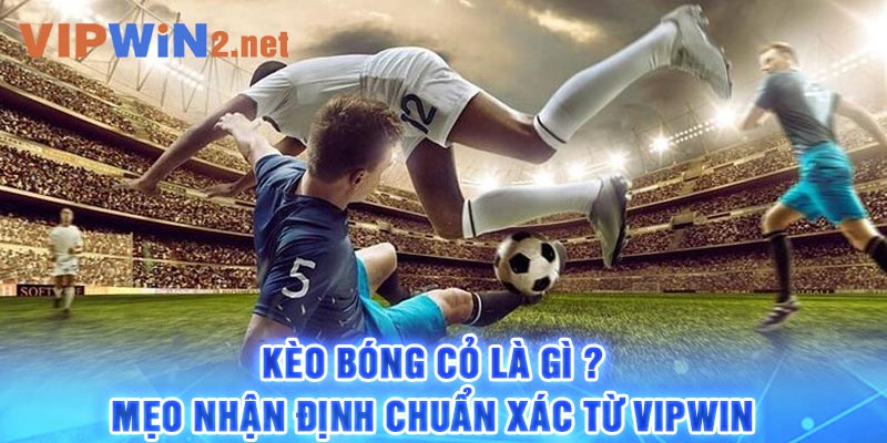 Kèo bóng cỏ là gì ? Mẹo nhận định chuẩn xác từ Vipwin