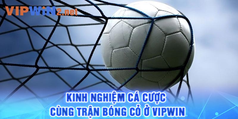 Kinh nghiệm cá cược cùng trận bóng cỏ ở Vipwin