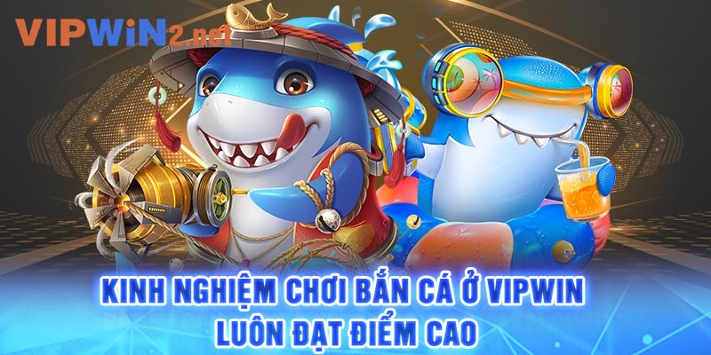 Kinh nghiệm chơi bắn cá ở Vipwin luôn đạt điểm cao