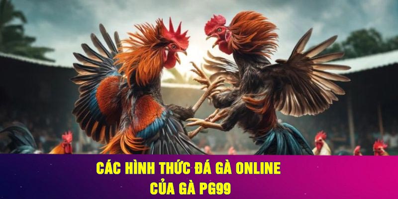 Các Hình Thức Đá Gà Online Của Gà PG99