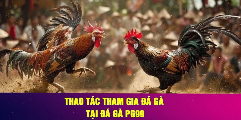 Thao Tác Tham Gia Đá Gà Tại Đá gà PG99