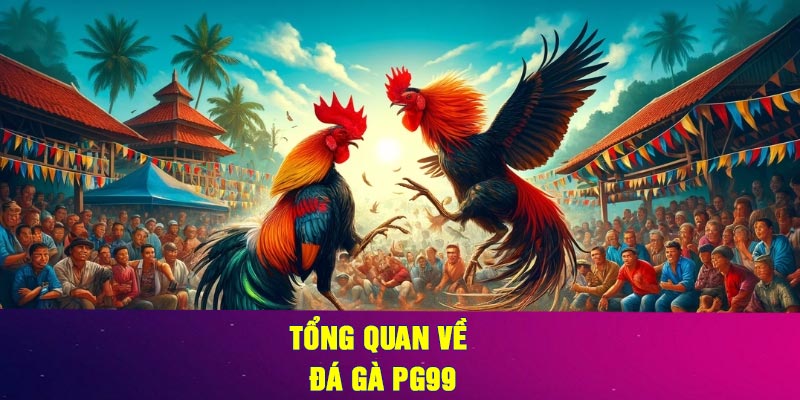 Tổng Quan Về Đá gà PG99