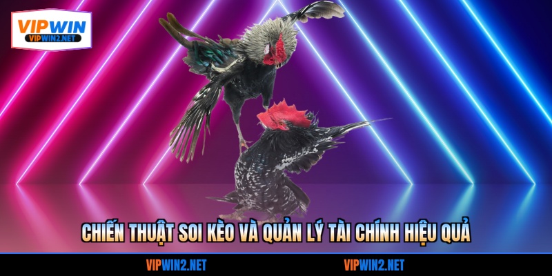 Chiến thuật soi kèo và quản lý tài chính hiệu quả