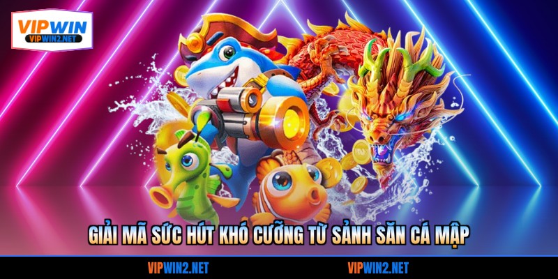 Giải mã sức hút khó cưỡng từ sảnh săn cá mập