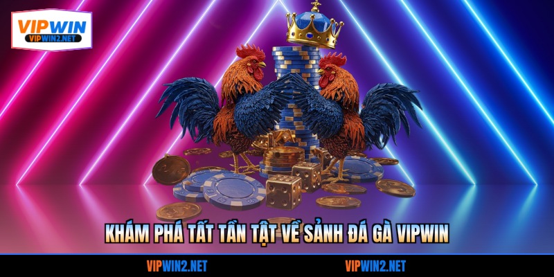 Khám phá tất tần tật về sảnh đá gà VIPWIN