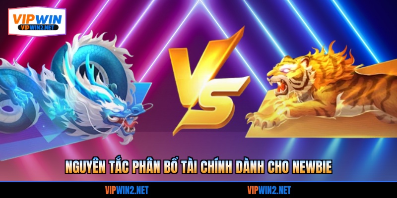 Nguyên tắc phân bổ tài chính dành cho newbie 