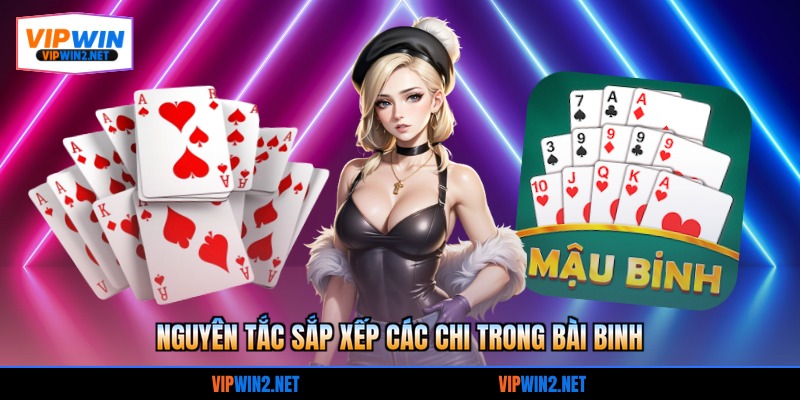 Nguyên tắc sắp xếp các chi trong bài binh