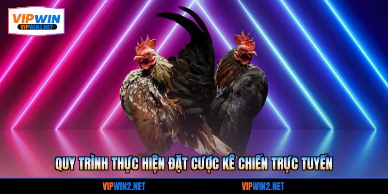 Quy trình thực hiện đặt cược kê chiến trực tuyến